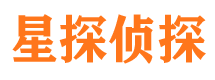 平桥侦探